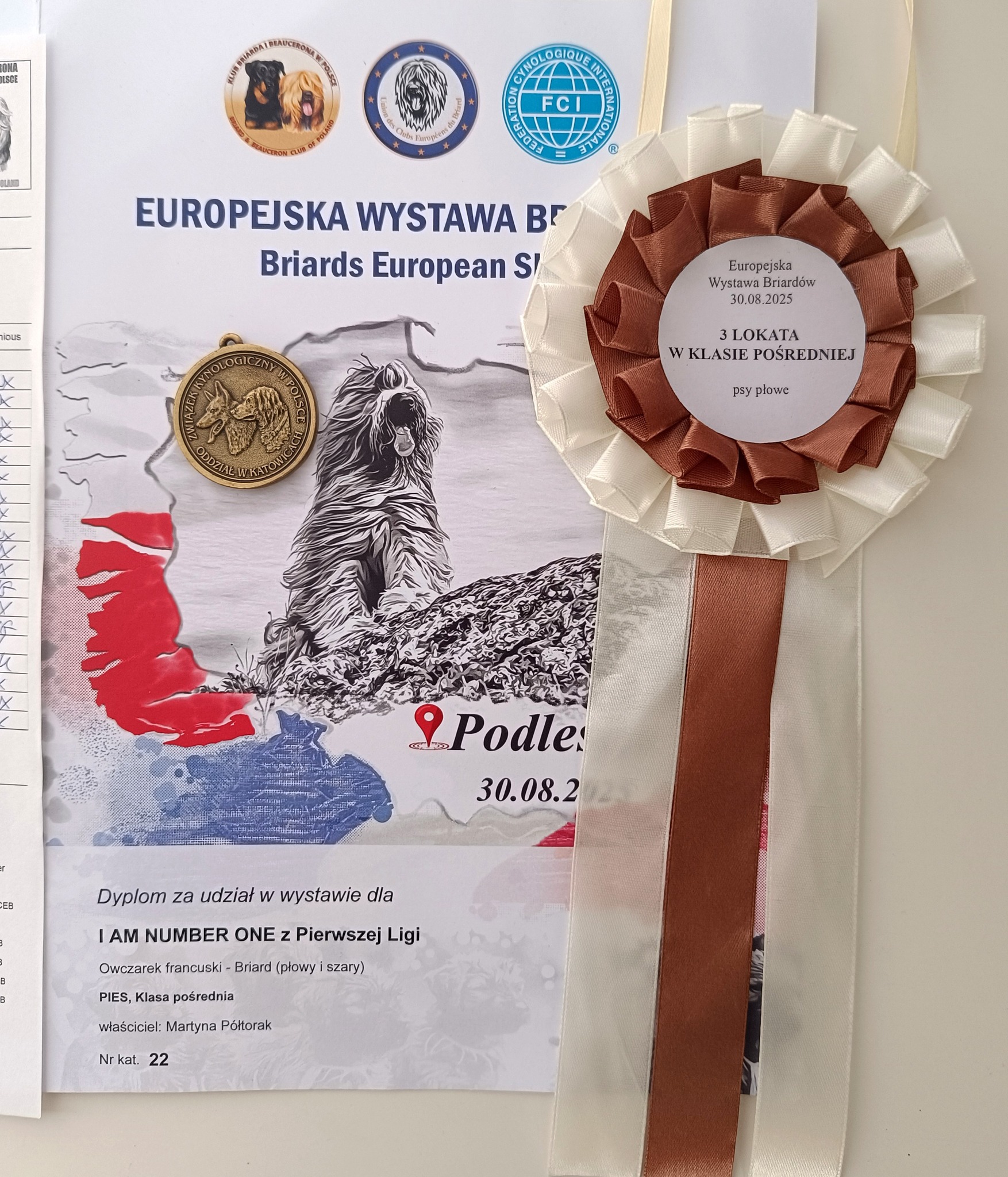 briard_dog_show (42) briard_dog_show (42)