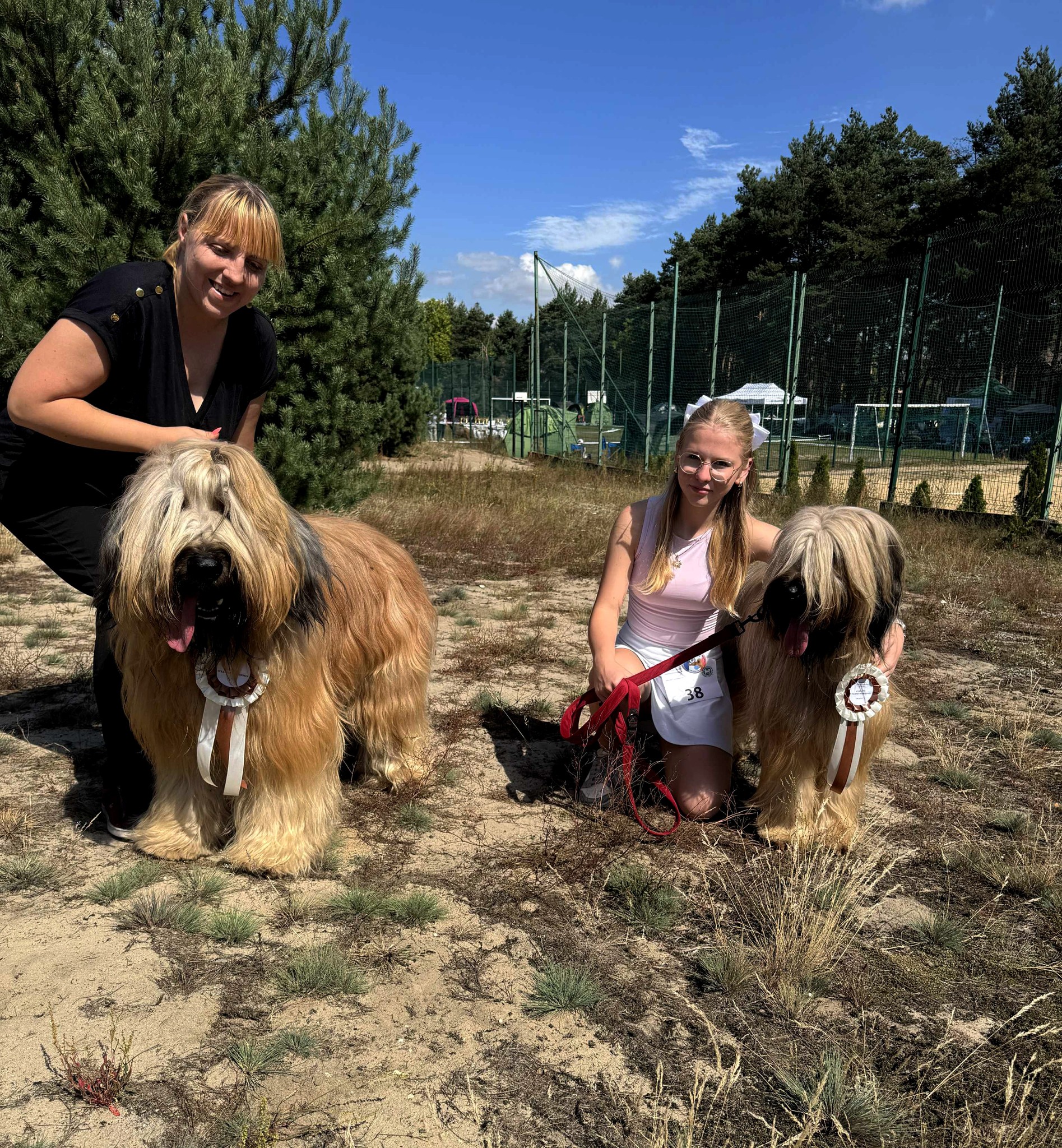 owczarek_francuski_briard (13)