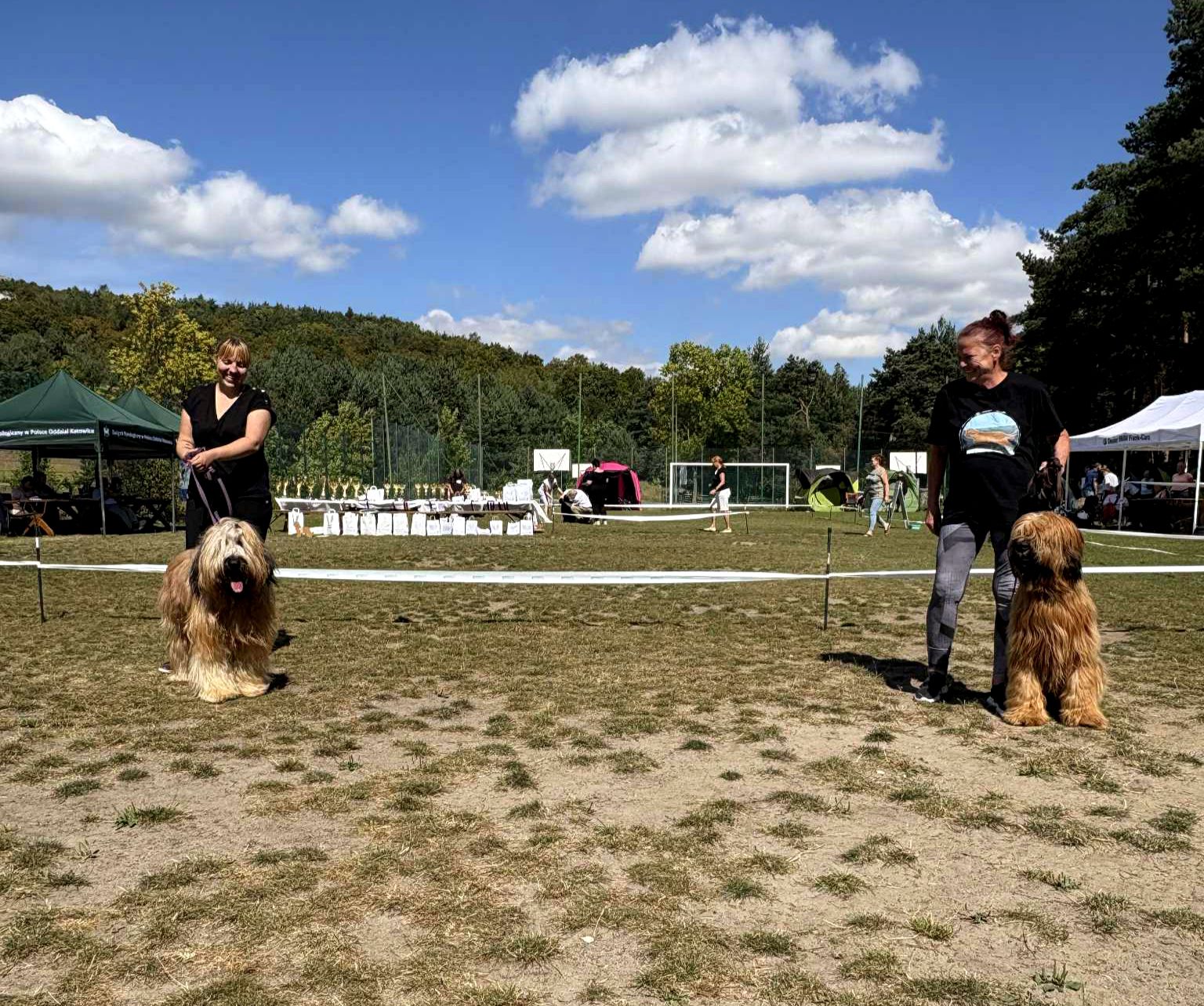 owczarek_francuski_briard (8)